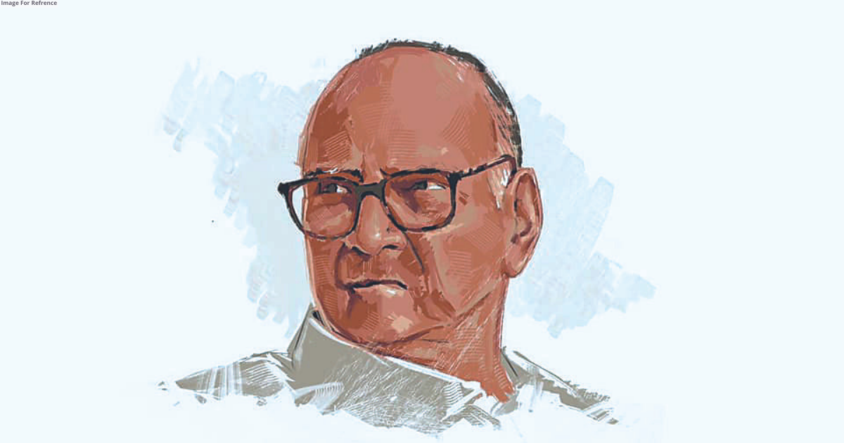 What is the politics of Pawar family?